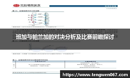 班加与帕兰加的对决分析及比赛前瞻探讨