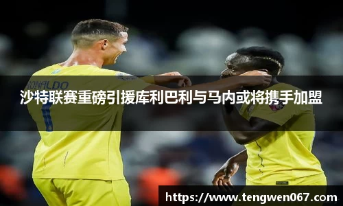 雷竞技raybet官网