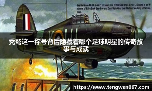 BB贝博艾弗森官网